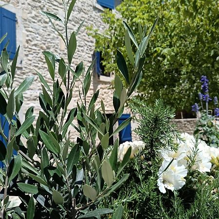 Namaste Home, Votre Havre De Paix A St Remy ! Parking Wifi Inclus Saint-Remy-de-Provence Exterior photo