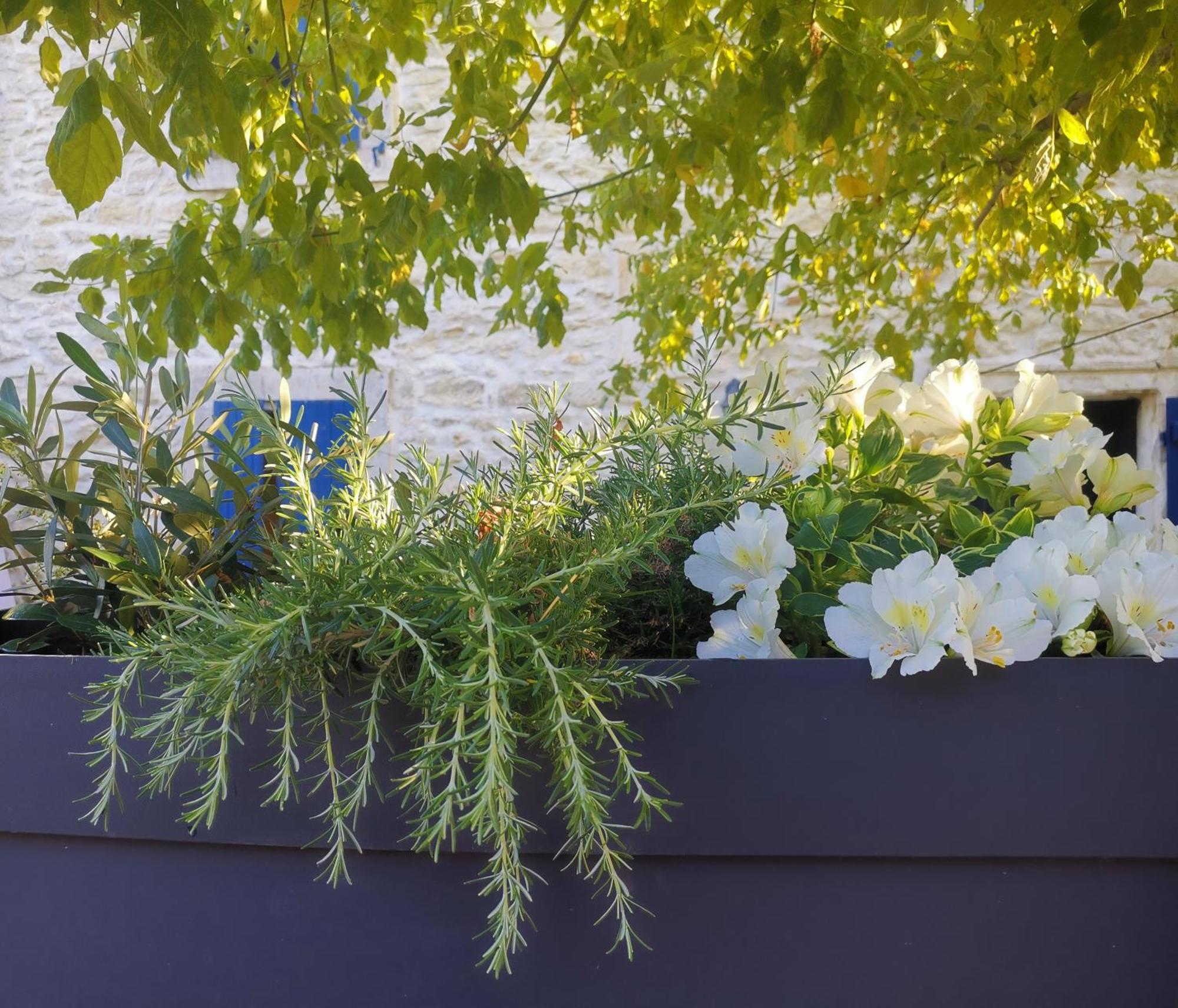 Namaste Home, Votre Havre De Paix A St Remy ! Parking Wifi Inclus Saint-Remy-de-Provence Exterior photo