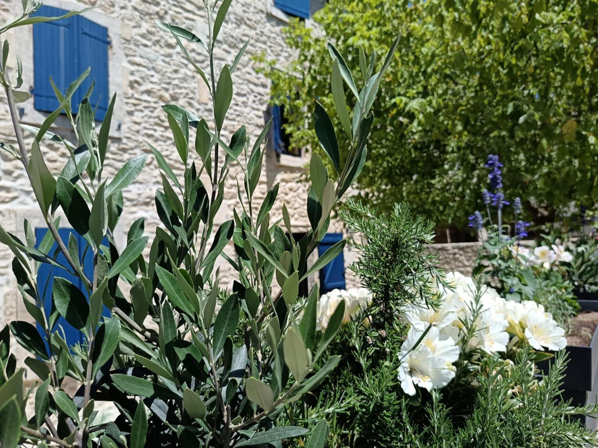 Namaste Home, Votre Havre De Paix A St Remy ! Parking Wifi Inclus Saint-Remy-de-Provence Exterior photo